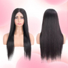 5*5 Lace Closure Wig Straight 