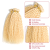 613# Blond Deep Curly Hair Bundles 12A Grad 
