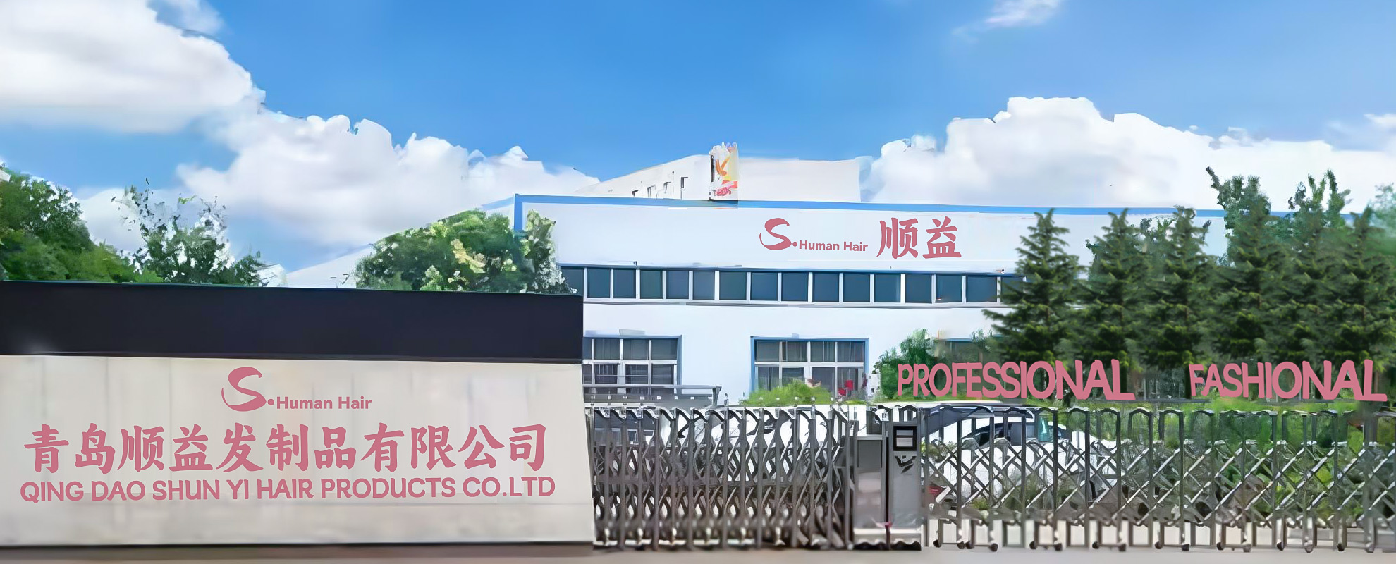 Professional In Women Human Hair