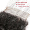 5*5 lace closure Water wave HD lace & transparent lace
